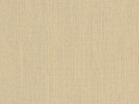 Sunbrella Spectrum Sand